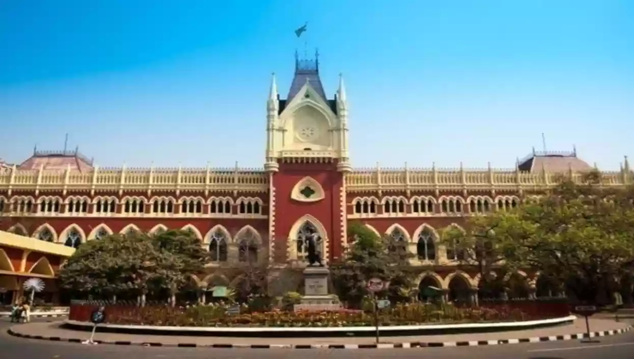 Calcutta HC halts building construction on 'illegal wetland fill' in Rajarhat
