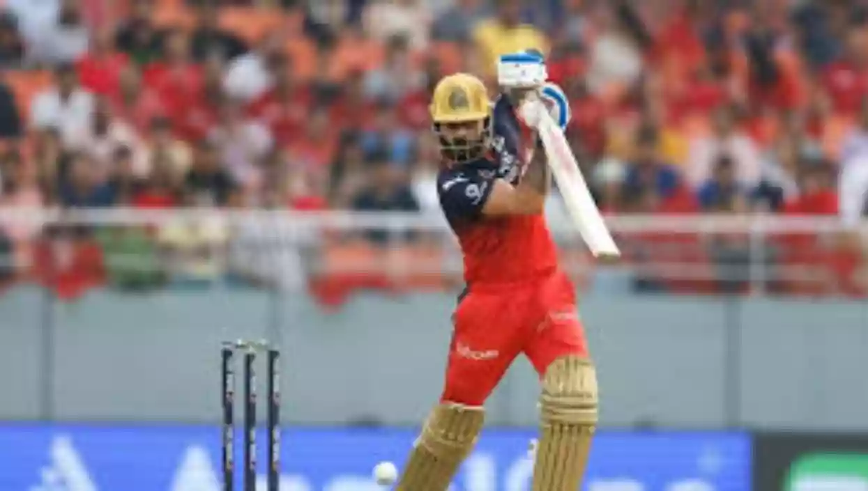 Kohli and Padikkal master chase as Royal Challengers Bengaluru defeat Punjab Kings by 7 wickets