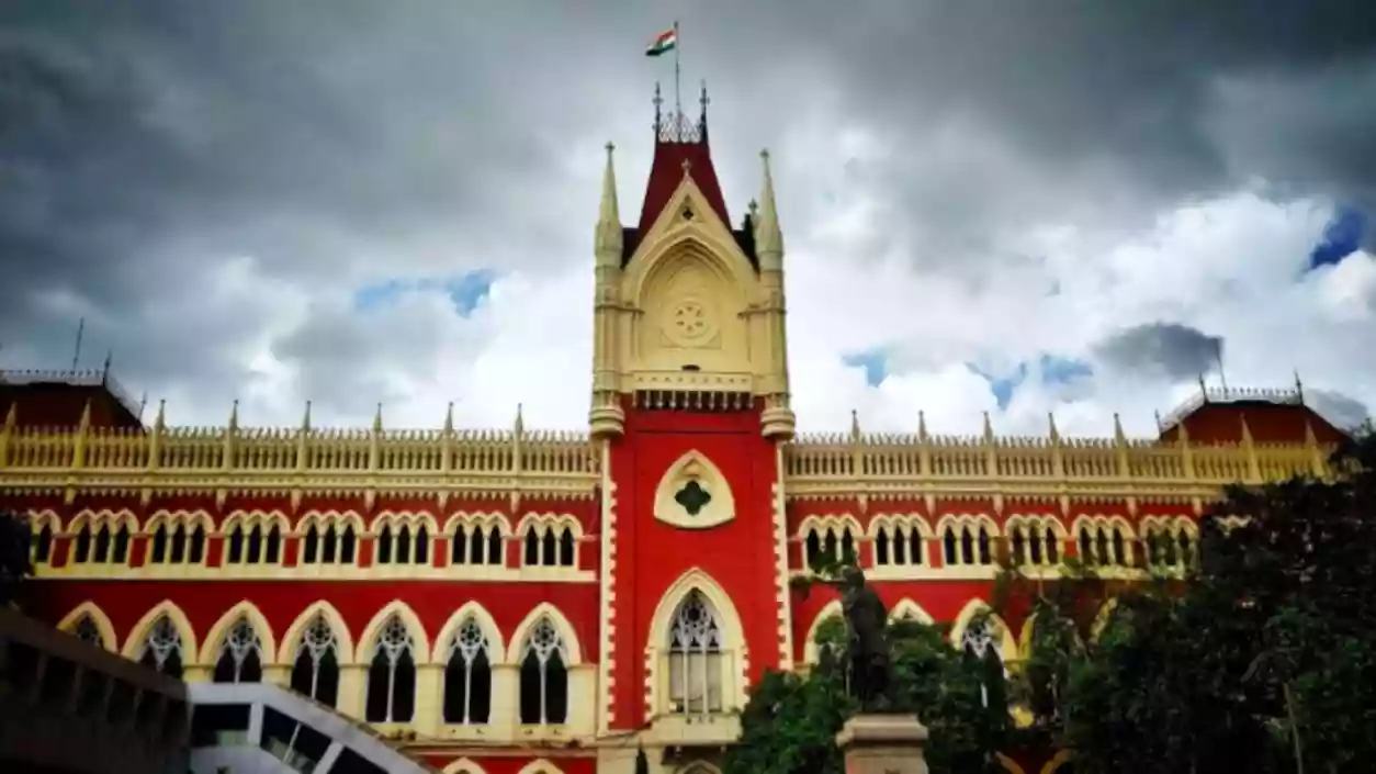 Bengal primary jobs scam appeal hearing from May 7, High Court orders all parties to submit papers