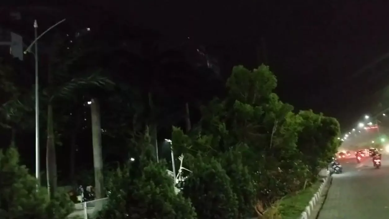 Tree falls during storm in Kolkata, two killed and train services disrupted
