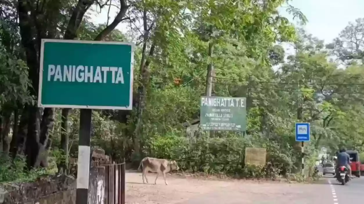 Panighatta tea garden reopens after 10-year hiatus, brings jobs to 500 workers in Siliguri