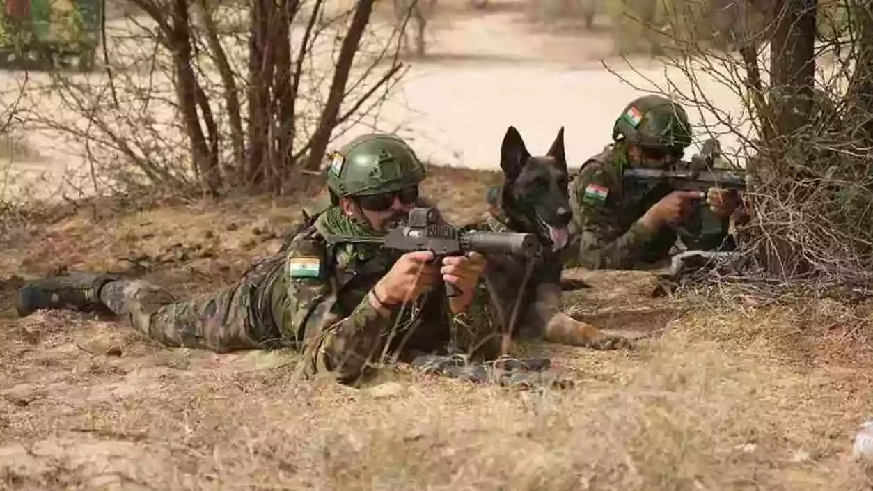 Kolkata, Howrah & 29 other districts in Bengal to conduct mock drills tomorrow | See List