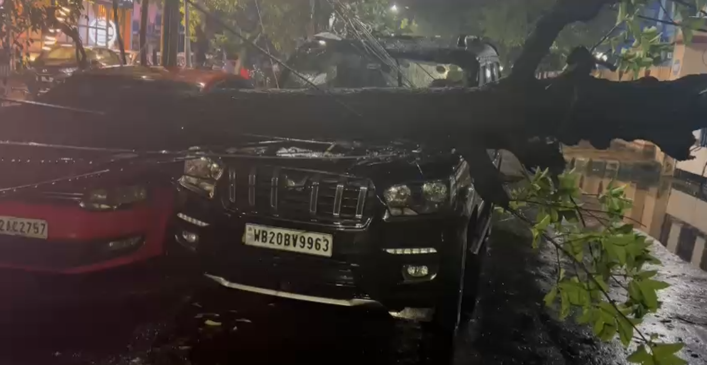 Thunderstorm and rain hits Kolkata and suburbs, uproot several trees and poles