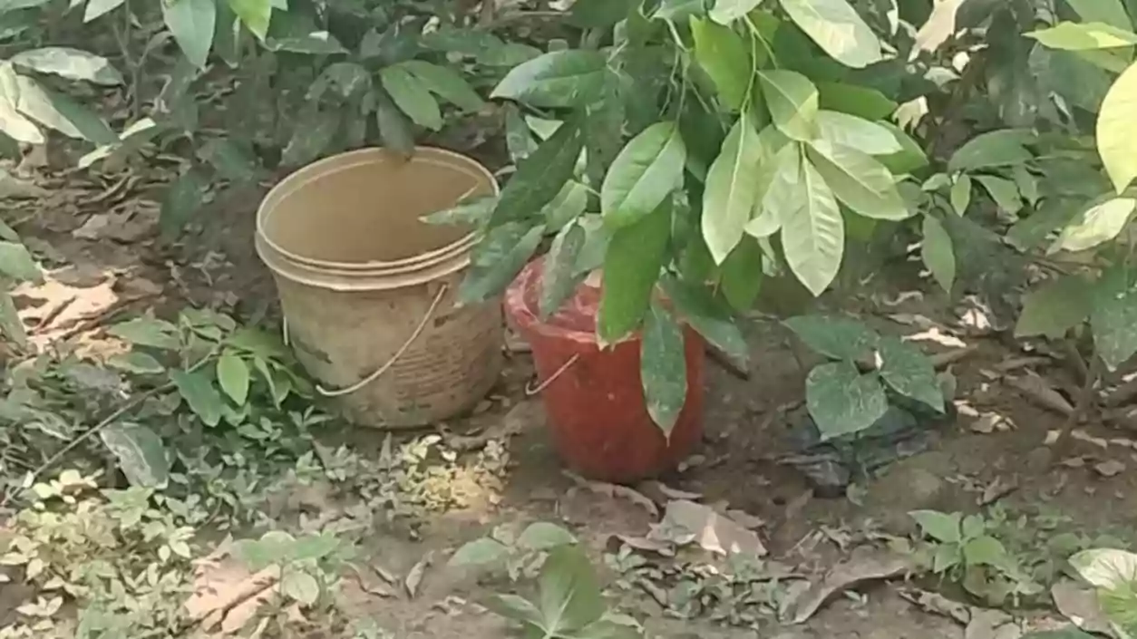 Second bomb recovery in Murshidabad within 24 hours – Two children injured in blast