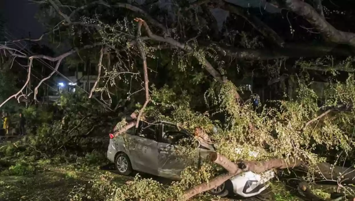 50 dead in 32 hours as deadly storm hits Delhi-NCR and UP