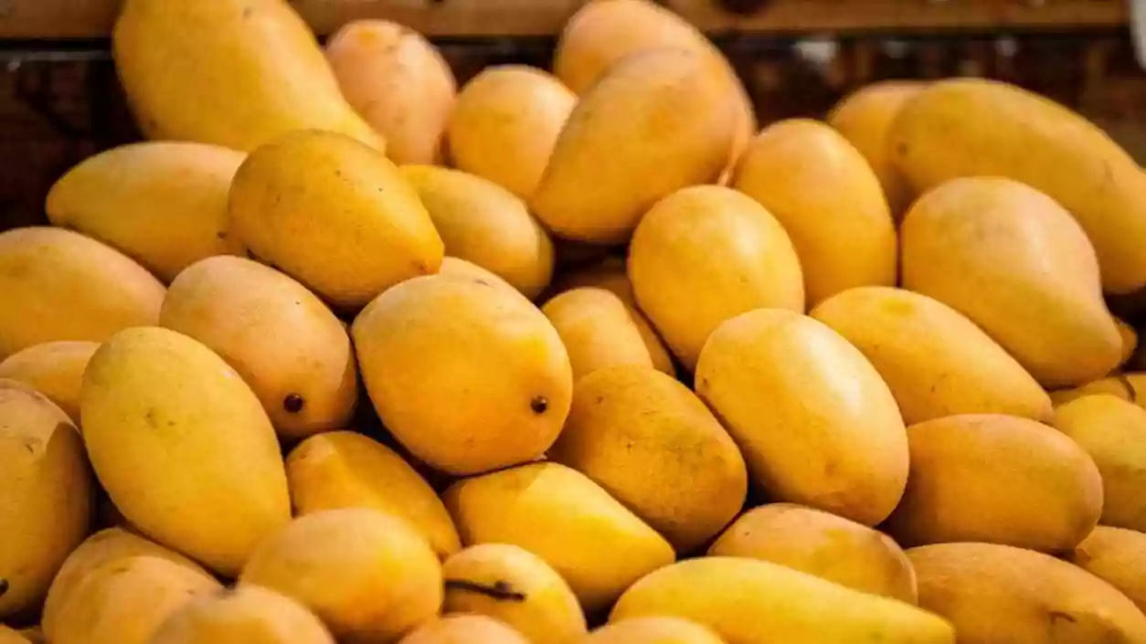 Mango trader dies after falling from moving train in Nadia