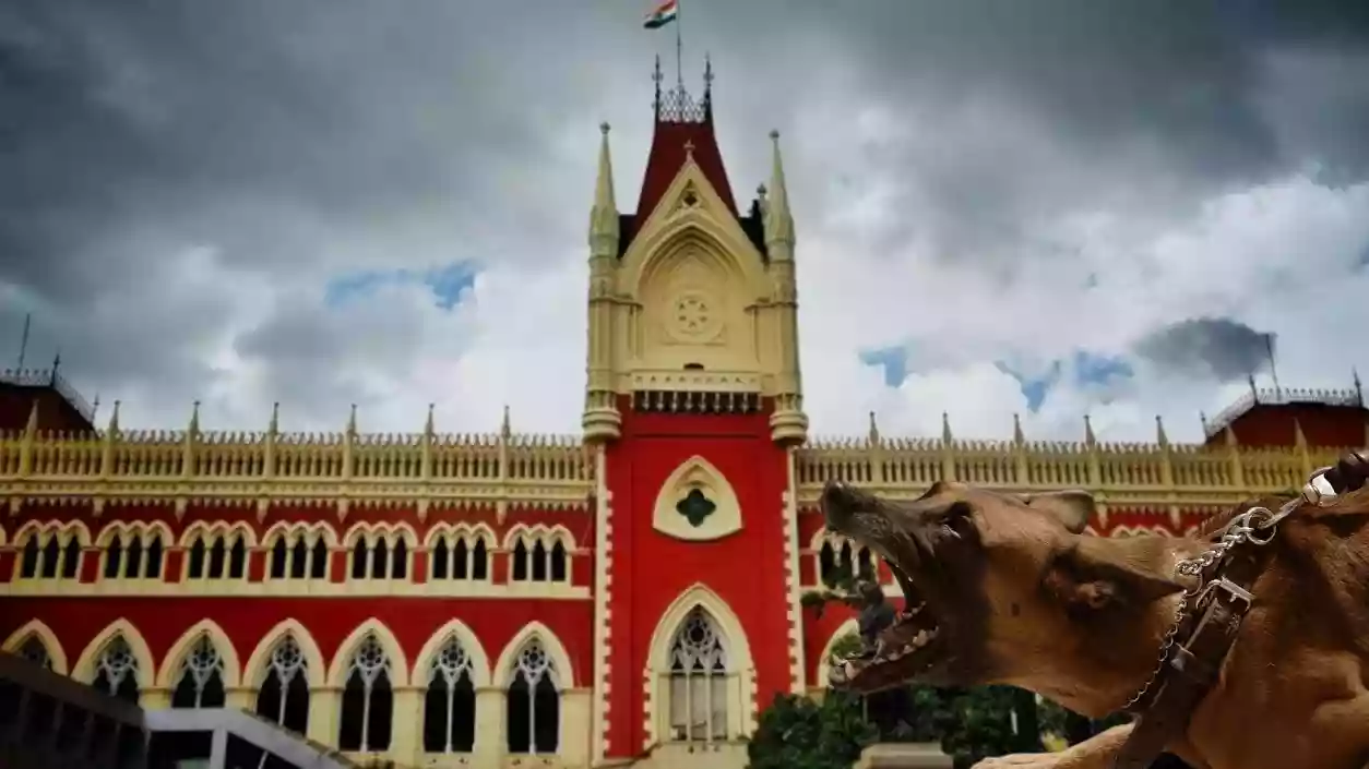 “If you keep a dog, take responsibility too”: Calcutta HC’s firm stand on pet attacks