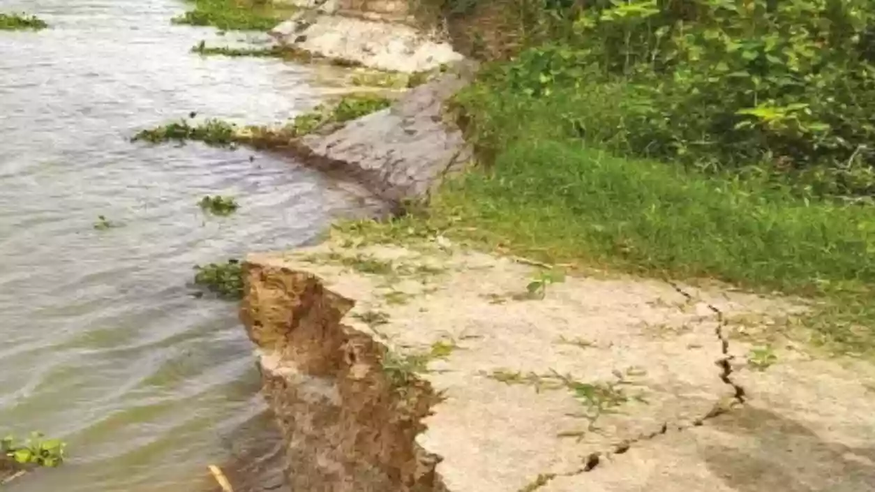 Bhagirathi River erosion threatens Bardhaman village's farmlands and homes; ₹2.5 cr repair plan pending approval