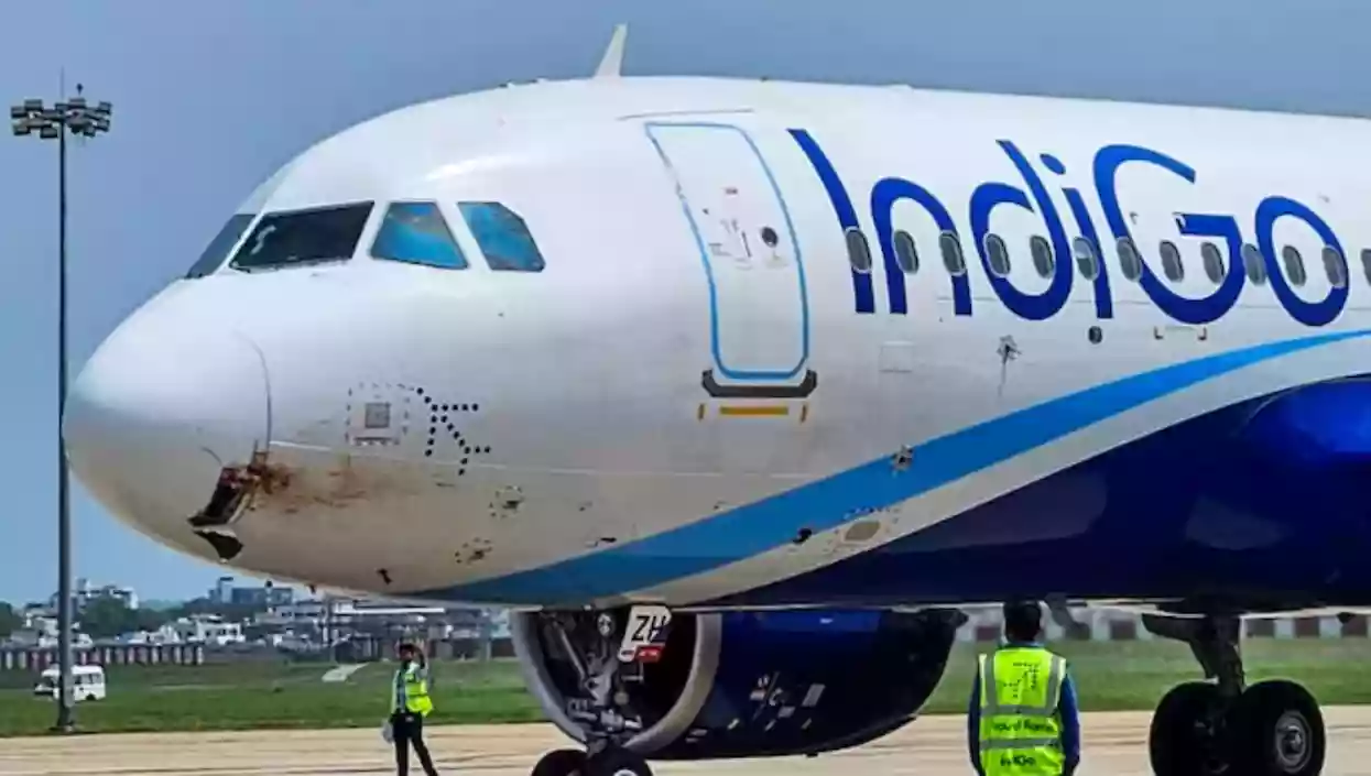 IndiGo Patna-Ranchi flight hit by bird at 4,000 ft, makes emergency landing