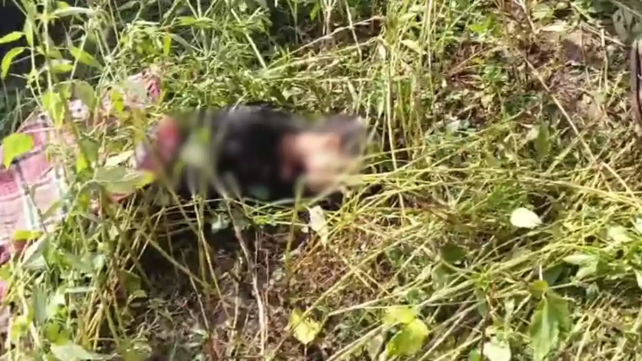 Partially naked woman found murdered with slit throat in Murshidabad field