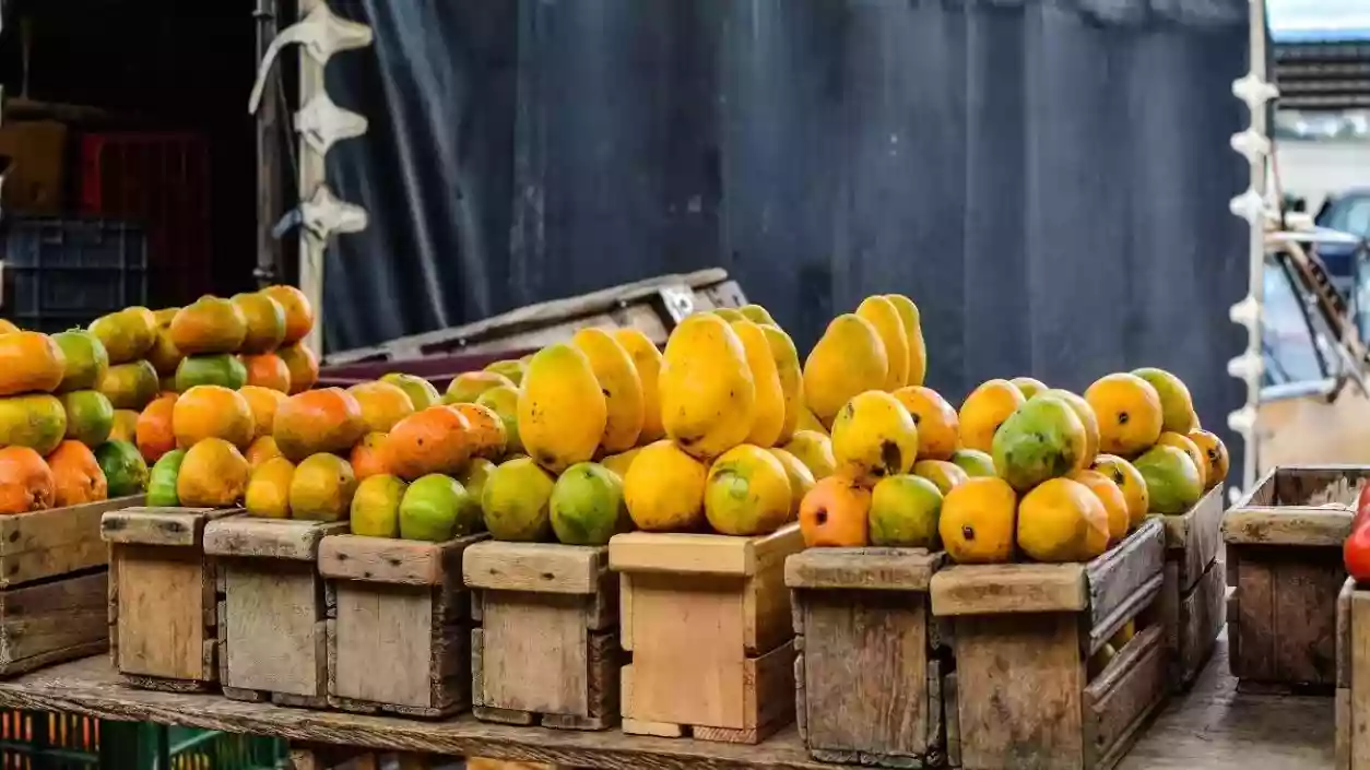 8-ton mango truck disappears with driver and helpers en route to Bihar from North 24 Parganas