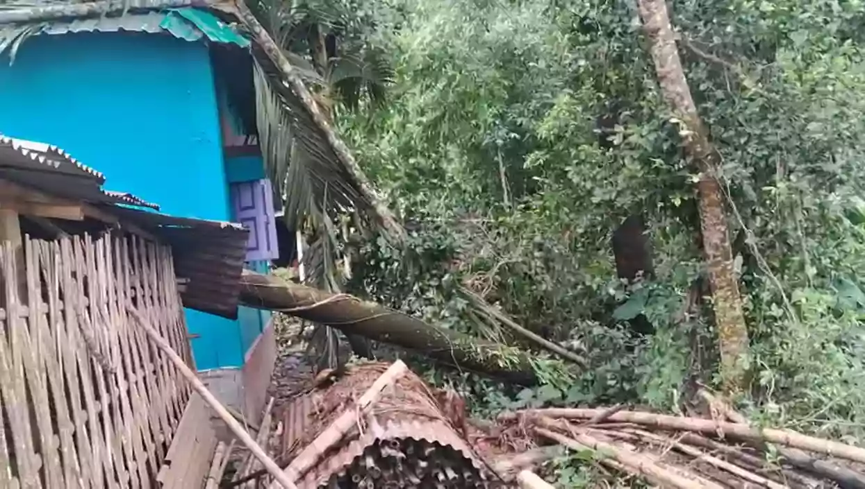 Cyclone damages homes, uproots trees in Jalpaiguri; locals await relief