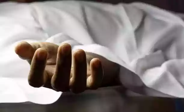 Female civic volunteer dies after toto hits her near Nabanna