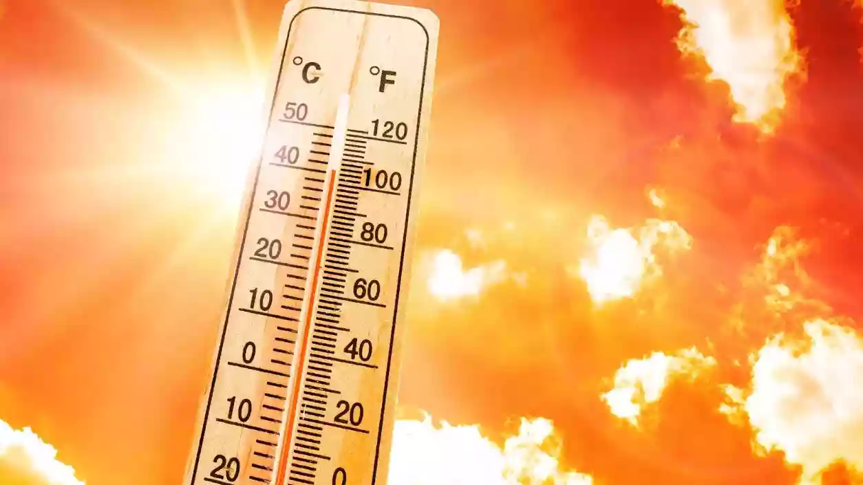 Kolkata heat to peak by Tuesday, rain and monsoon winds expected from Wednesday: IMD