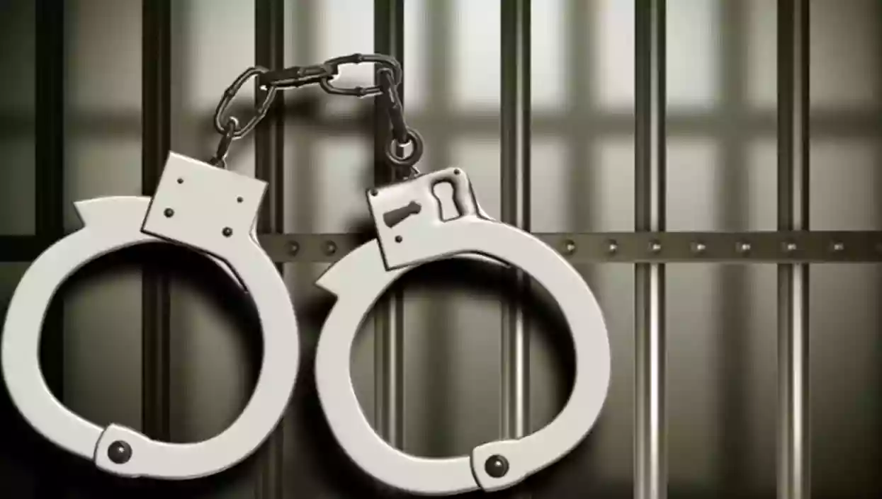 UP STF busts interstate Oxytocin racket, seizes ₹1.2 crore worth of illegal stock