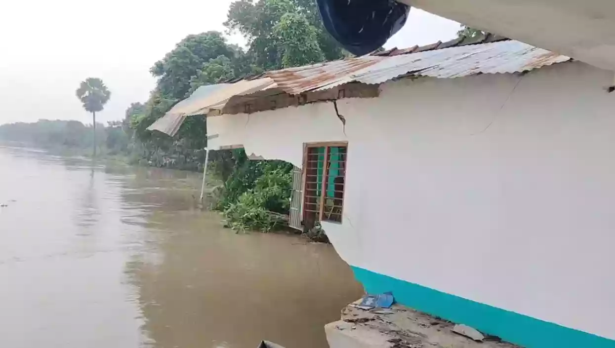 Midnight erosion in Murshidabad’s Samsherganj leaves families homeless, cattle swept away