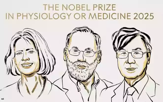 Two US, one Japanese scientist win Nobel for discoveries in peripheral immune tolerance