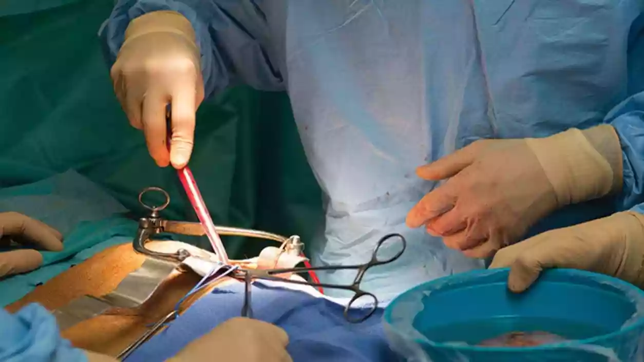 Kerala achieves first as kidney is transported on commercial flight for transplant