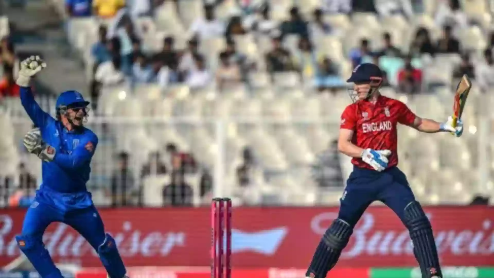T20 World Cup: Italy fall short as England register 24-run victory