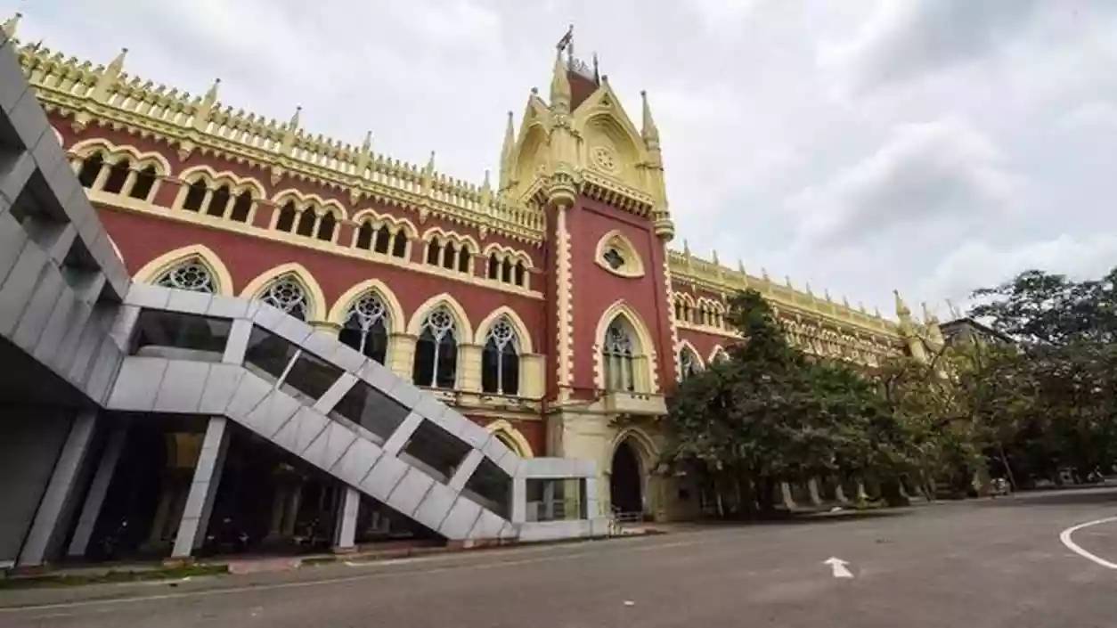 Why are college teachers given presiding duties? High Court questions EC, hearing deferred