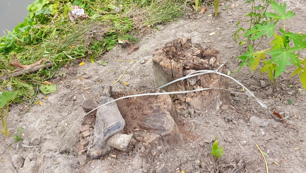 Firearm recovered near Jagatdal polling booth, BJP alleges attempt to intimidate voters