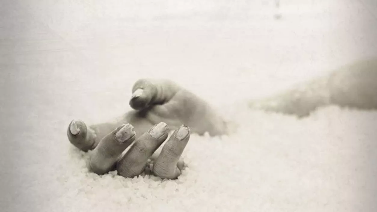 Missing 12-year-old girl’s body recovered from jute field in Cooch Behar