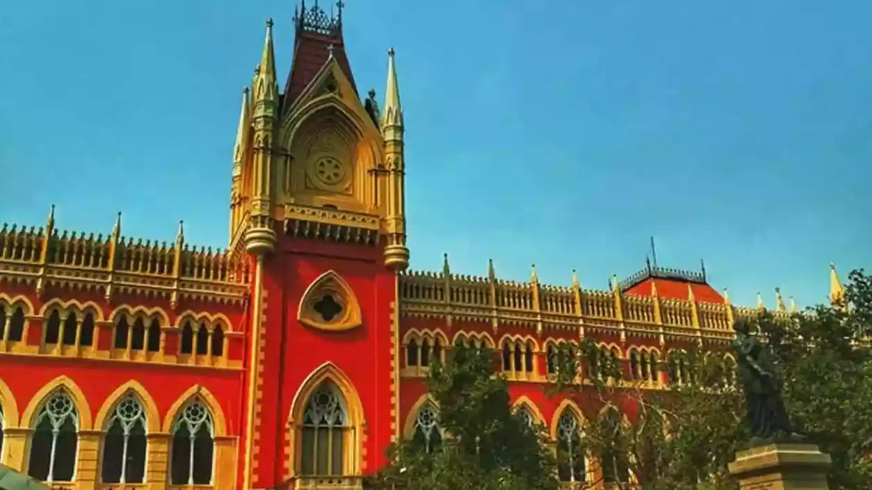 Temporary relief for hawkers as Calcutta HC halts eviction drives till June 17