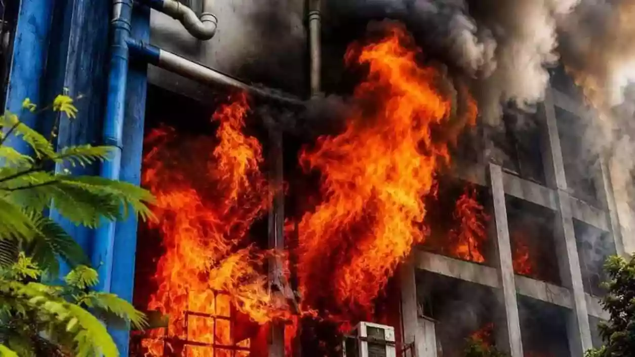 Tiger skins, poaching records and British-era maps lost in Alipore building fire
