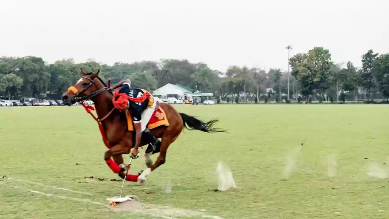 Jaipur Polo Ground possession taken by Centre after court declines interim relief