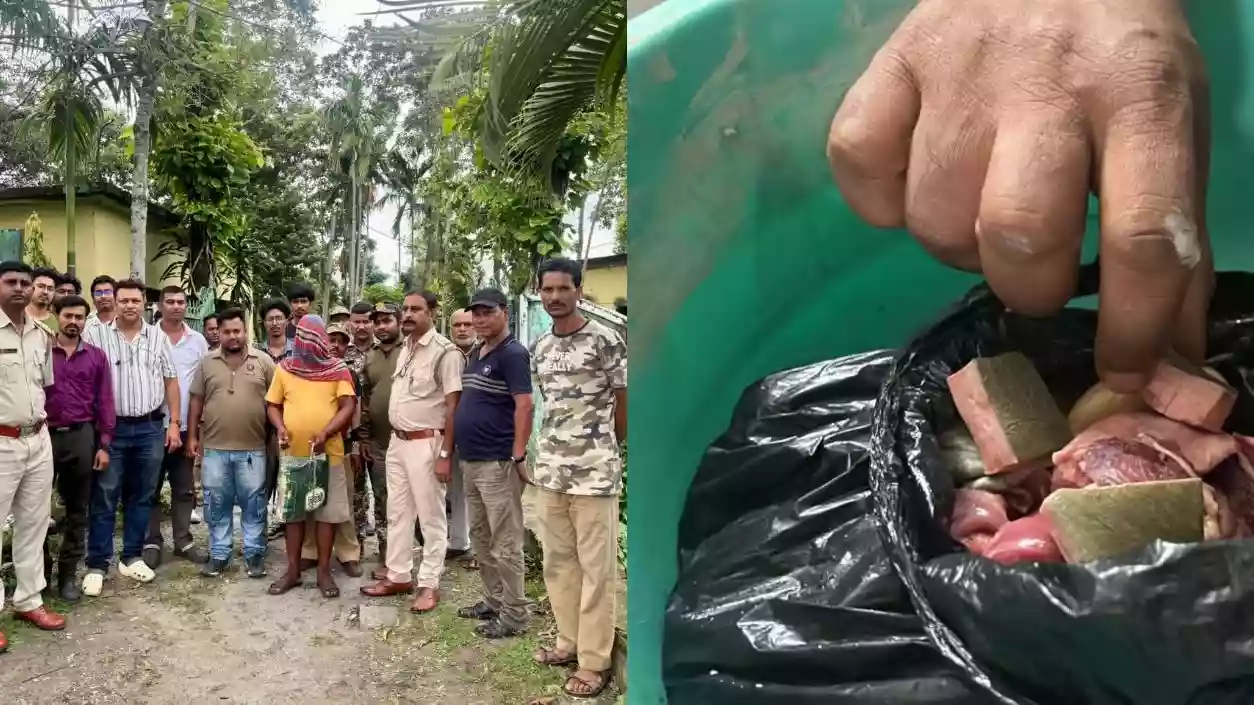 Turtle meat trafficking racket busted in Cooch Behar; one arrested