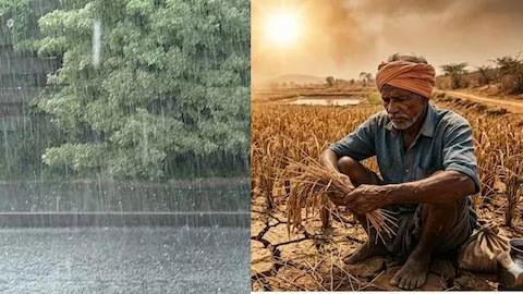 अल नीनो से जुलाई में मानसूनी बारिश पर पड़ेगा असर: IMD