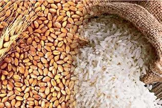खाद्य साथी योजना : अयोग्य लाभार्थियों को हटाने के लिए जारी हुई नई एसओपी